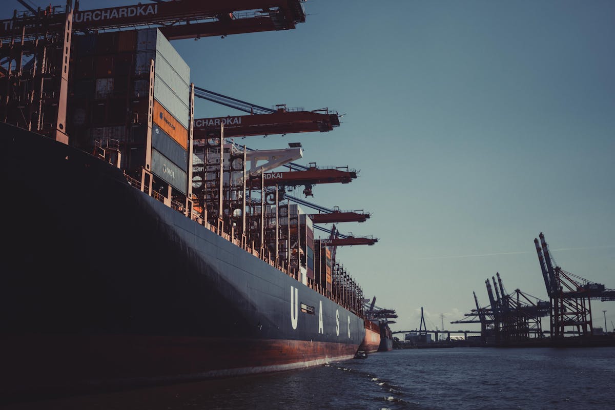 TRAN TRANSPORT LLC